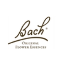 Bach