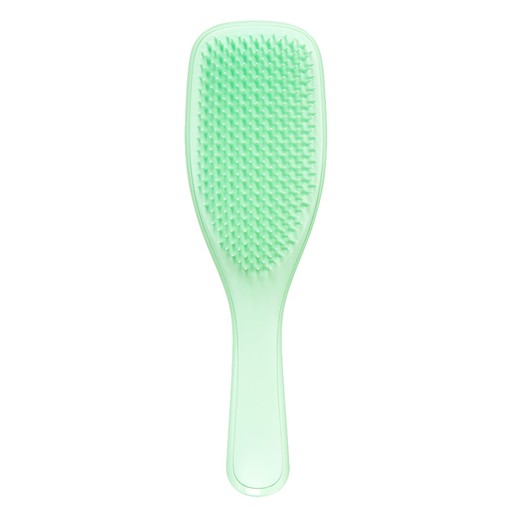 Tangle Teezer The Wet Detangler Neo Mint Ιδανική Βούρτσα που Ξεμπλέκει Εύκολα τα Βρεγμένα Μαλλιά 1 τεμάχιο
