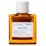 Ανδρικό Άρωμα με Aquatic Χαρακτήρα 50ml