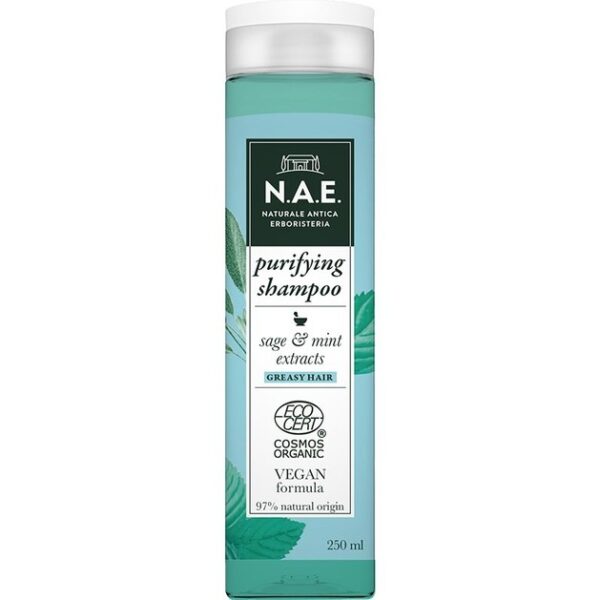 Ν.Α.Ε. Equilibrio Purifying Shampoo Σαμπουάν για Λιπαρά Μαλλιά 250ml