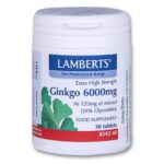 Lamberts Ginkgo Biloba Extract 6000mg