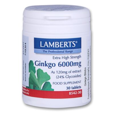 Lamberts Ginkgo Biloba Extract 6000mg