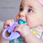 Κρίκος Οδοντοφυΐας 5 Αισθήσεων Φαλαινάκι