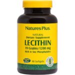 Lecithin 1200g Συμπλήρωμα Λεκιθίνης 90caps