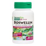 Nature’s Plus Boswellin Συμπλήρωμα Ριτίνης με Αντιφλεγμονώδεις Ιδιότητες 60caps