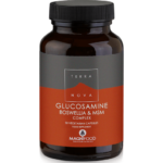 Boswellia & MSM Complex – Joint Support 100% Φυτική Σύνθεση για τα Προβλήματα των Αρθρώσεων