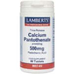 Lamberts Calcium Pantothenate 500mg 60 tabs