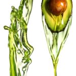 Avocadonew