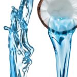 Coconuthtr