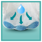activesecond222222222