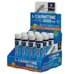 carnitinestandsmall