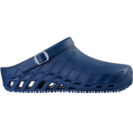 clogevoschollF2656310072new