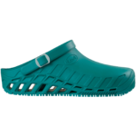 clogevoschollF2656313612new