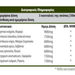 large_synthesi_adults