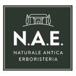 n_a_e_logo2