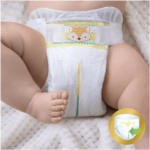 premiumseira2new01231