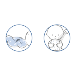 product_advise_creme_lavante__1_ΩΩΩΩ