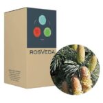 RosVeda Pure Essential Oil Cedar