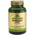 Solgar Olive Leaf Extract 60 veg.caps