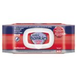 Wet Hankies Extra Safe Antibacterial Αντισηπτικά Μαντηλάκια που Δρουν Κατά των Μικροβίων & των Ιών Γρίπης 63 Τεμάχια