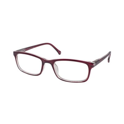 Eyelead Unisex Γυαλιά Διαβάσματος Μπορντώ με Κοκκάλινο Σκελετό E166