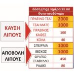 νες3700221300190